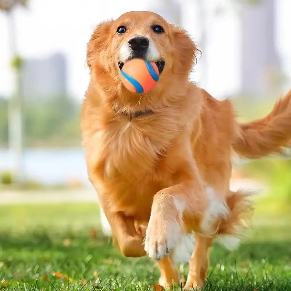Fetch Toy Ball for Dog