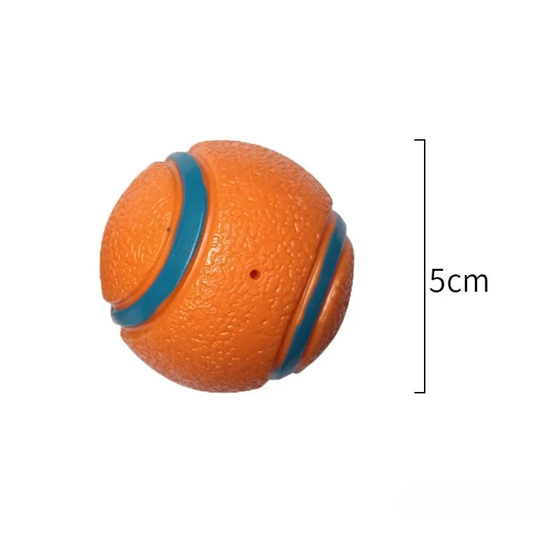 Fetch Toy Ball for Dog