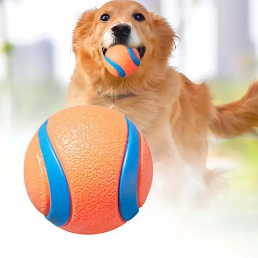 Fetch Toy Ball for Dog