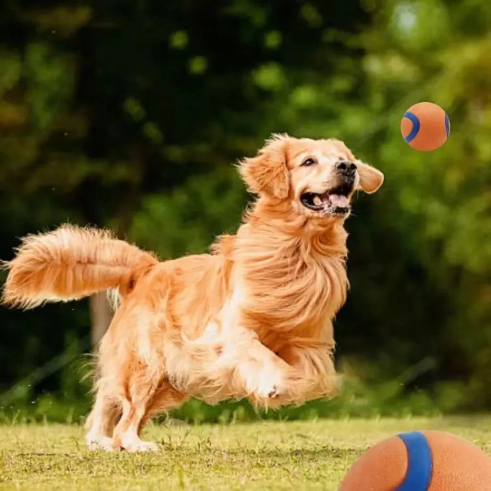 Fetch Toy Ball for Dog