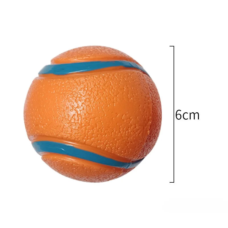 Fetch Toy Ball for Dog